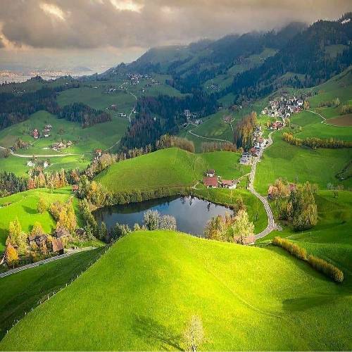 گنجیشککای بی نام و نشون پرنده های بی هم زبون بهتره دیگه بری خونتون